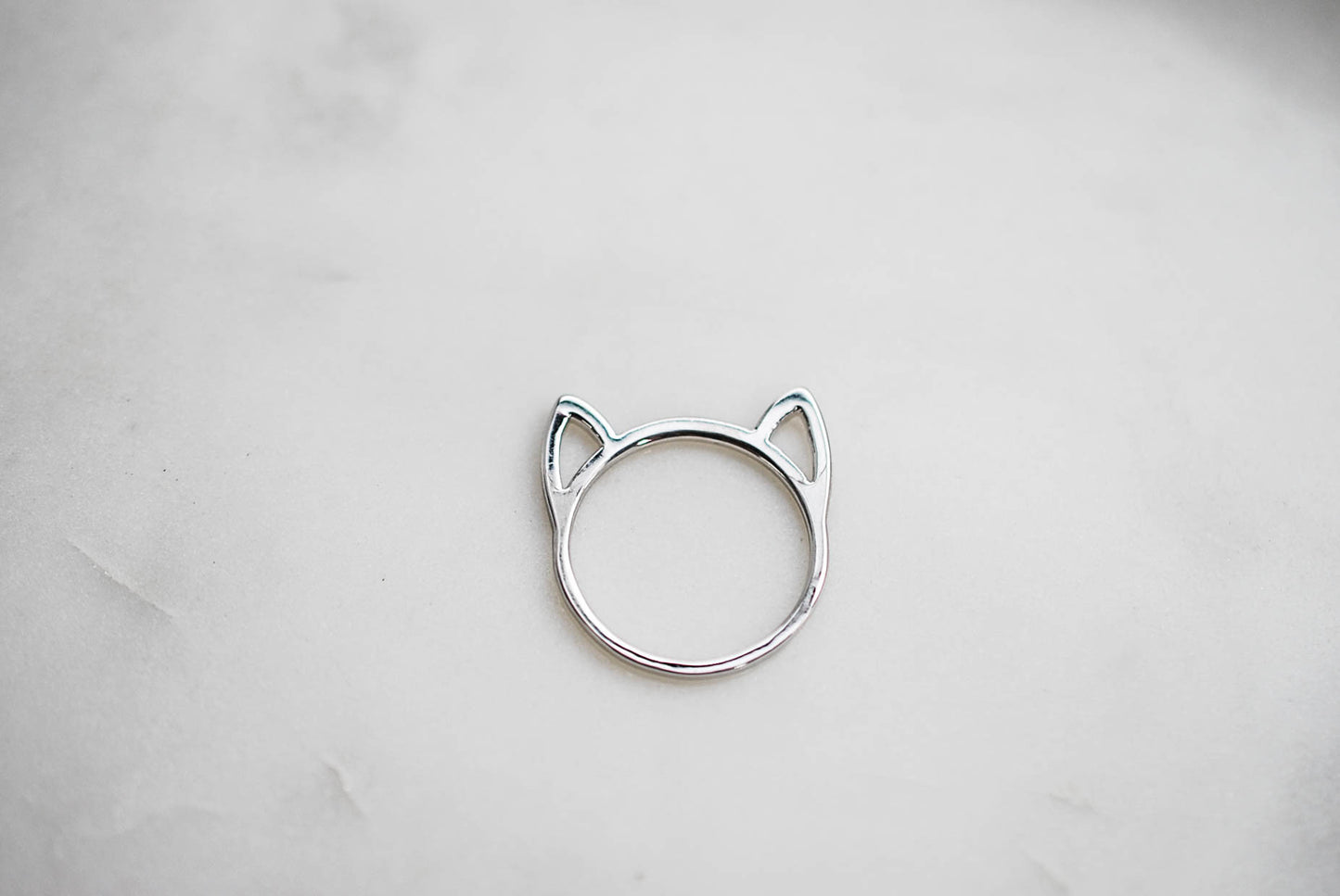 Gatto