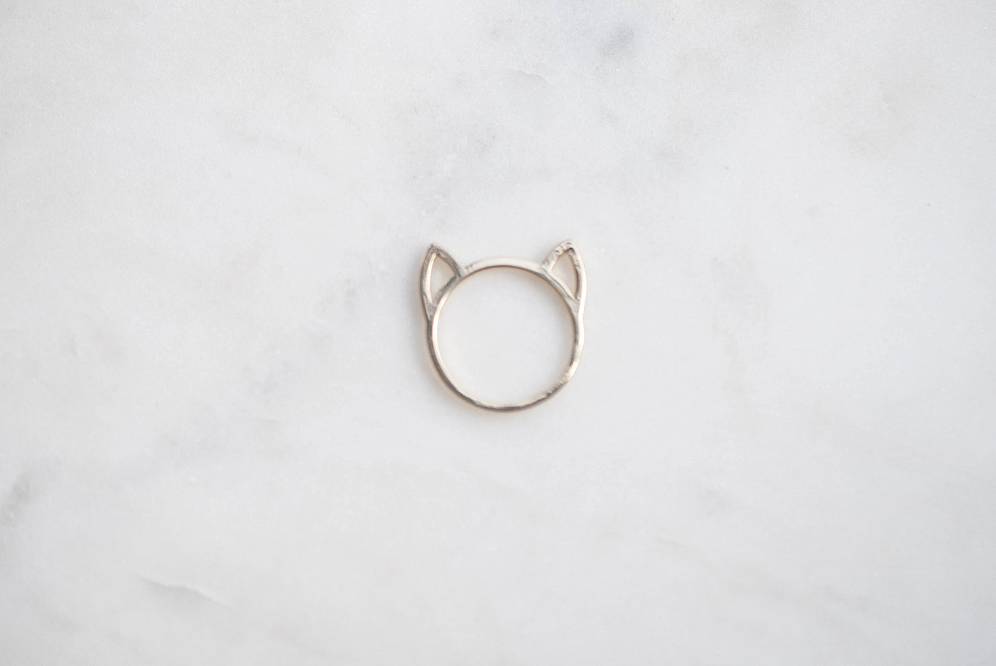 Gatto
