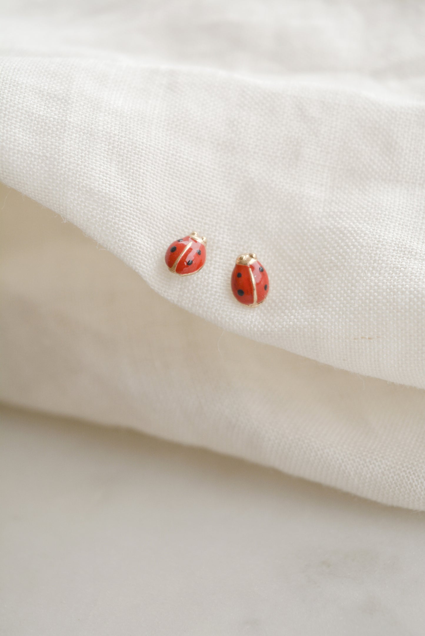 Ladybug
