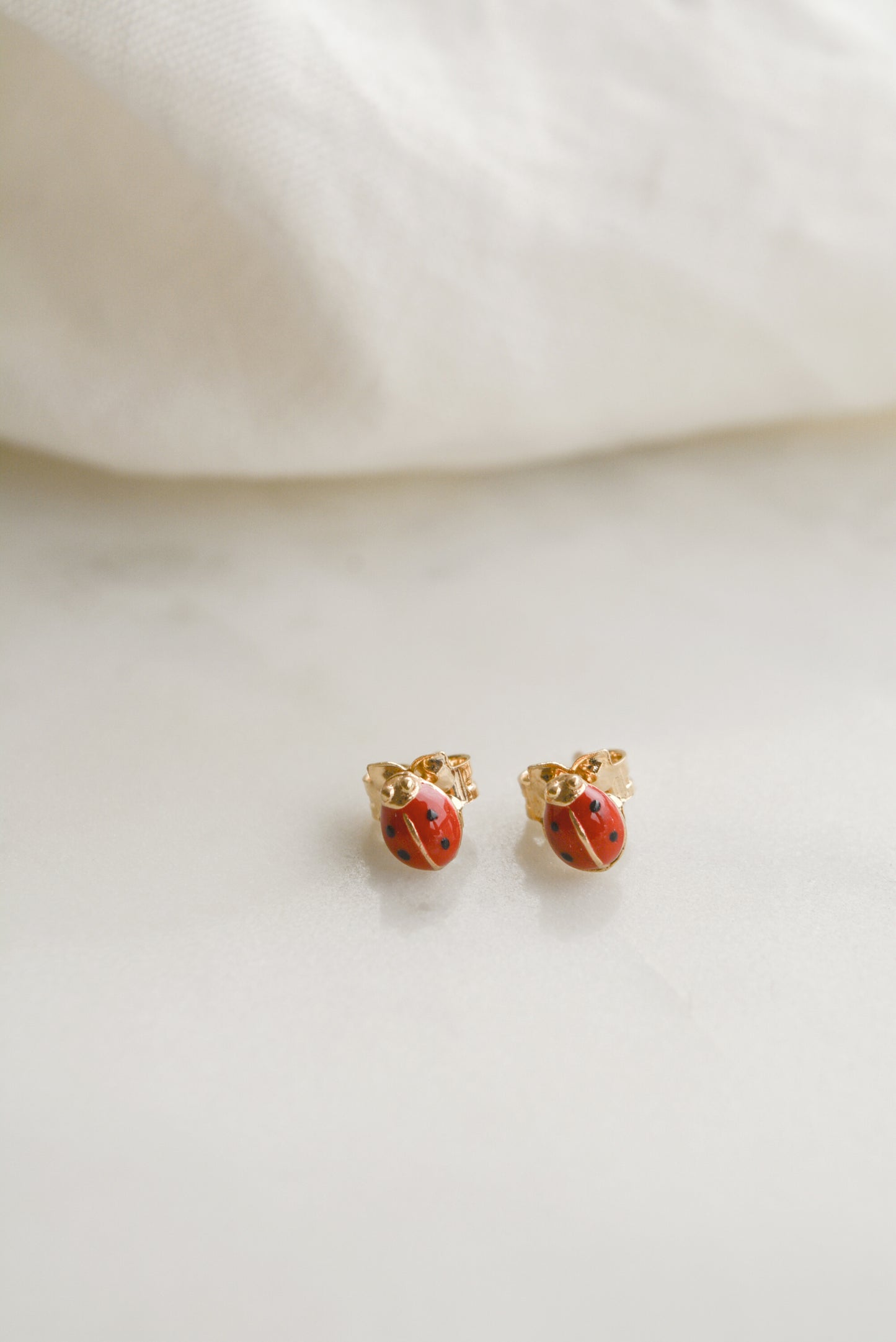 Ladybug